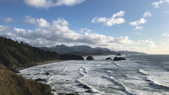 From Portland: Oregon Coast Scenic Day Tour