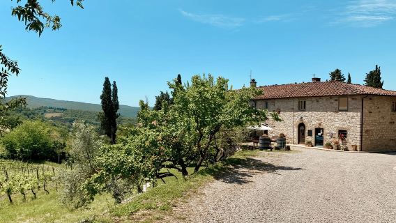 Desde Florencia: Visita a las bodegas de Chianti Hills con degustación