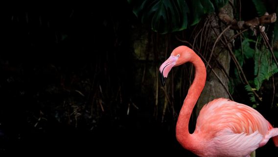 Victoria: Entrada al Jardín de Mariposas