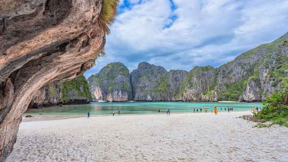 จากเกาะพีพี : ล่องเรือชมพระอาทิตย์ตกที่อ่าวมาหยาและว่ายน้ำแพลงก์ตอน