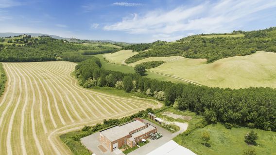 Frantoio di San Gimignano: tour of the oil mill and tasting
