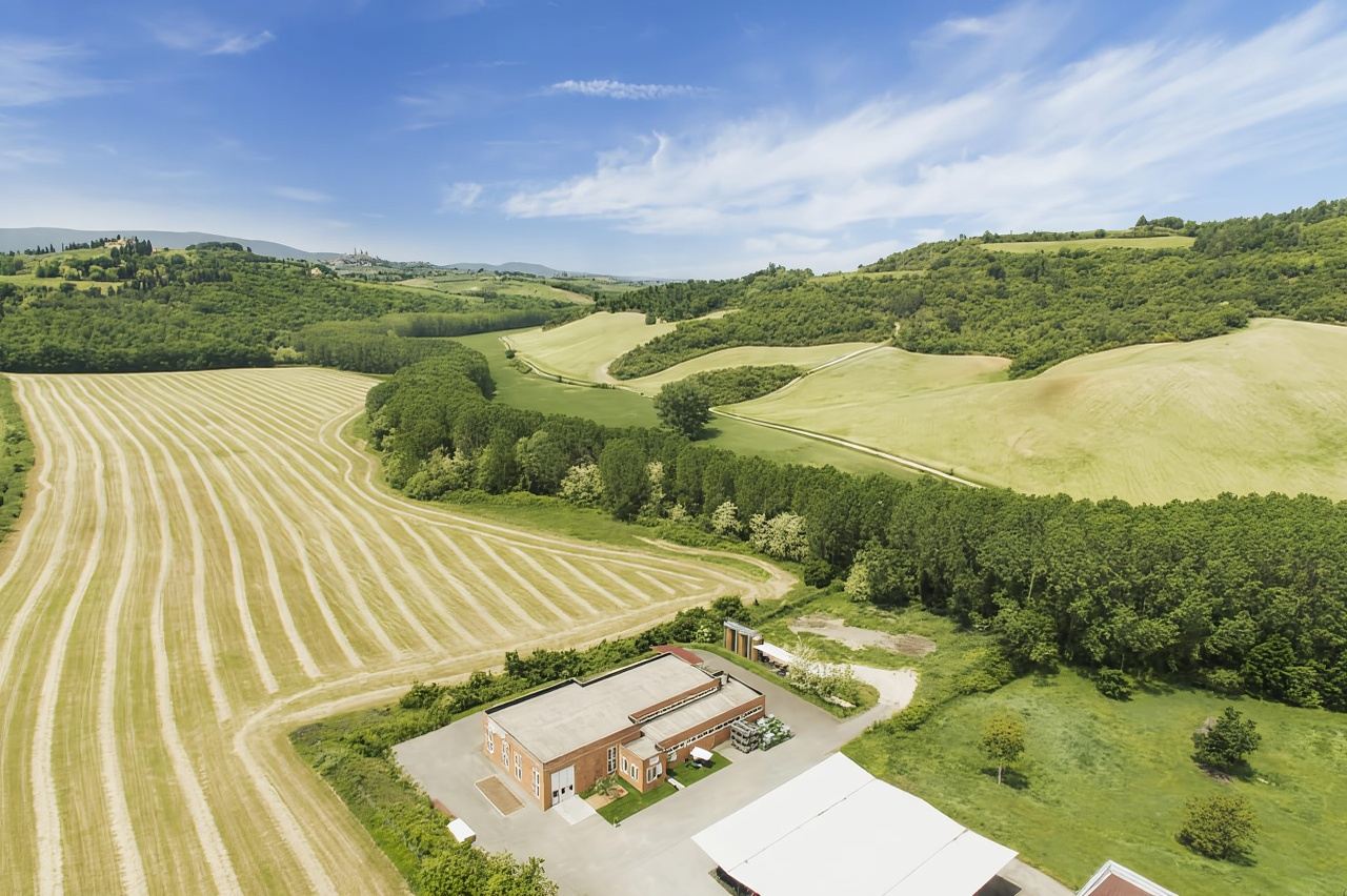 Frantoio di San Gimignano: tour of the oil mill and tasting