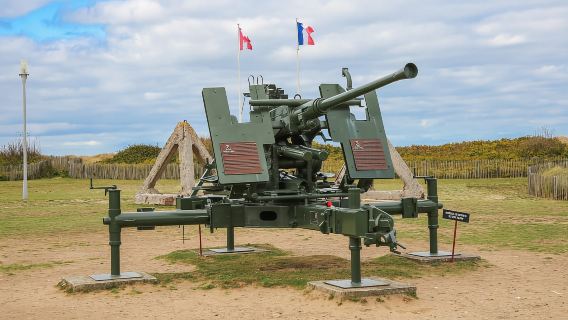 Ab Paris: Normandie-Landungsstrände D-Day-Tour im Minibus