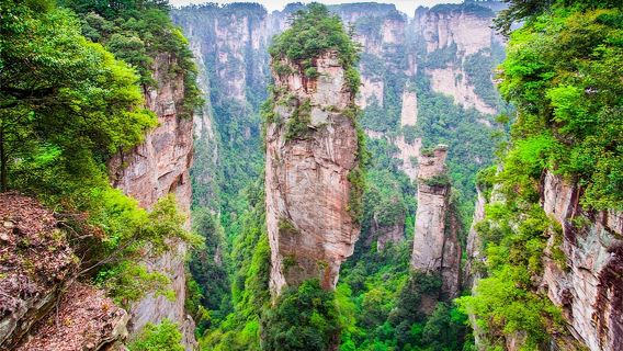 2일 8인 소그룹*장자제 아바타 국립 산림공원+톈먼산+다협곡 유리다리