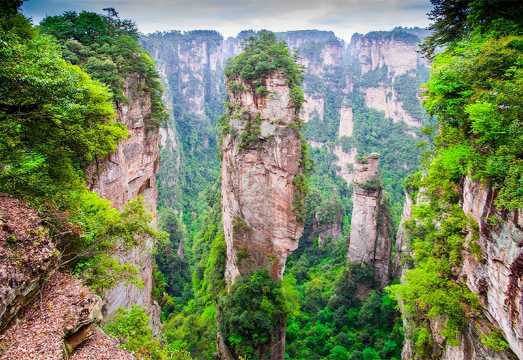 [8-person group or private tour] Zhangjiajie Avatar Forest Park + Tianmen Mountain + Glass Bridge