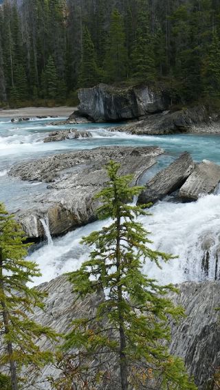 Banff in-depth tour: Bow Falls + Sulphur Mountain cable car | Tickets not included + Banff town | Bilingual (Chinese-English)