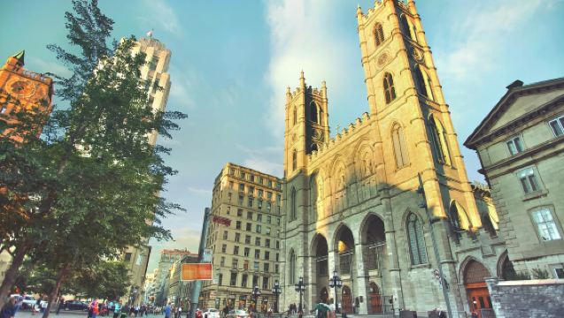 加拿大 蒙特婁｜英語翻譯｜旅遊陪同｜商務翻譯｜展會翻譯｜地接｜（可私人定制）