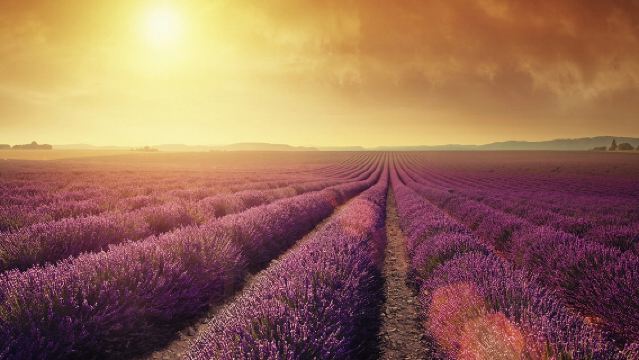 法國馬賽瓦倫索勒+聖十字湖【中文包車自由行】