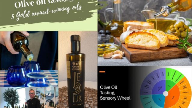 Zadar, Šibenik: cata de aceite de oliva, vino y comida, Autoconducción