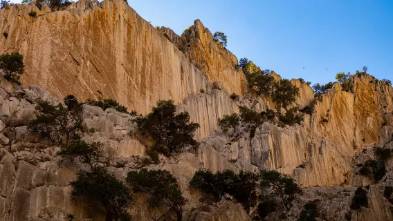 De Sevilha: Passeio de um Dia de Caminhada pelo Caminito del Rey