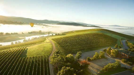 Yarra Valley Wine Day Tour