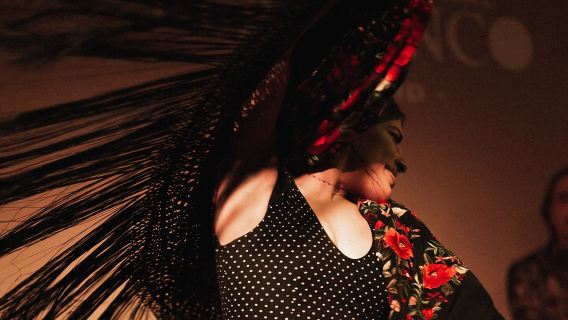 Centro Cultural Flamenco Madrid Admission Ticket