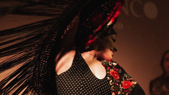 Entrada para el Centro Cultural Flamenco Madrid
