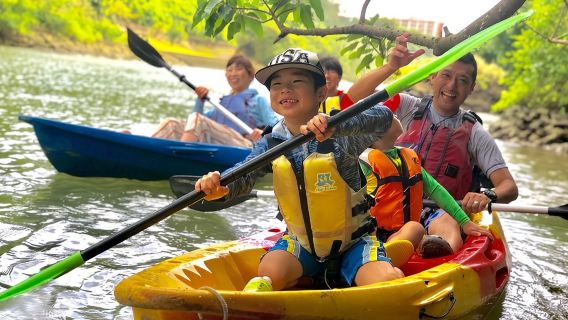 Mangrove kayaking to enjoy nature in Okinawa