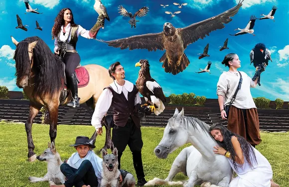 免排隊：Falconeria Locarno 門票