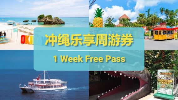 Городской проездной Окинава | Have Fun In Okinawa | Недельный проездной Окинава 1 Week Free Pass