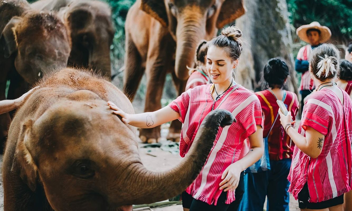Chiang Mai Mae Wang Kechor Elephant Sanctuary Half-day Tour with Optional Bamboo Rafting