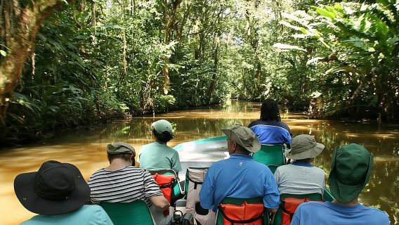 Gita di un giorno al Parco Nazionale del Tortuguero e ai Canali da San Jose