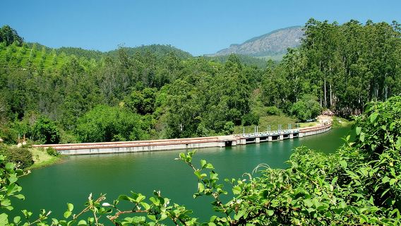 Recorrido turístico por Munnar