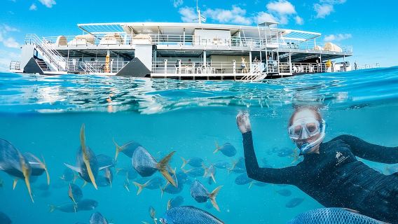 Avventura di un giorno intero nella Grande Barriera Corallina