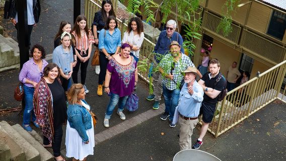 Sydney Shore Excursion: The Original Guided Walking Tour of The Rocks