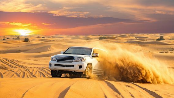 DubaiTravel Services