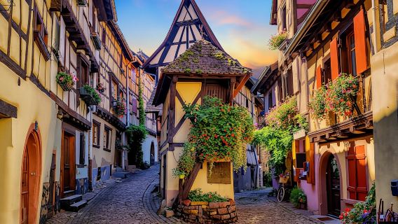 Full-day shared tour of the pearls of Alsace