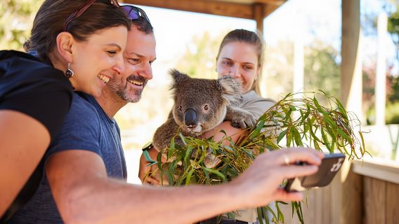 Wildlife, waterfalls and wine full day guided tour from Sydney