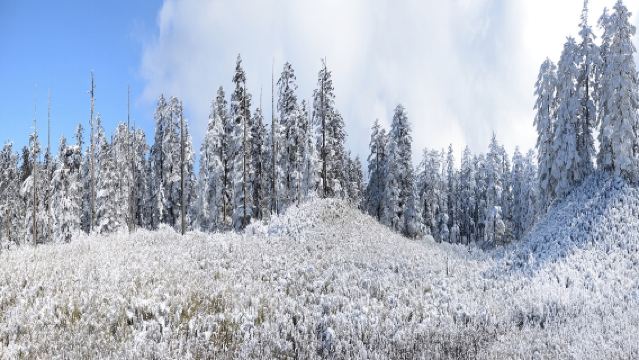 Chengdu to Mount Wawu One-Day Tour: Rediscover Your Inner Peace [Tickets+Private Car]