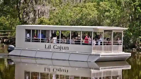 Guided Swamp and Bayou Boat Tour