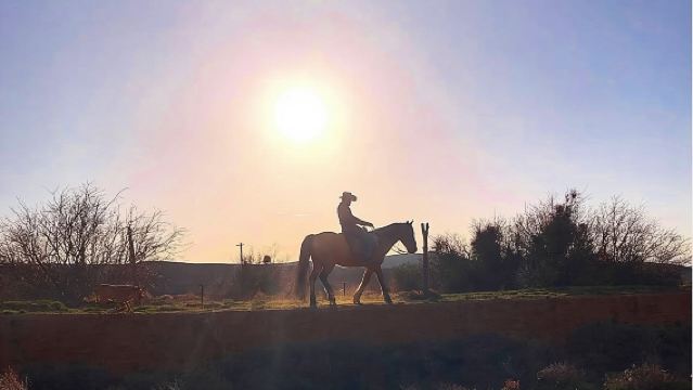 Wild West Sunset Horseback Ride with Dinner from Las Vegas