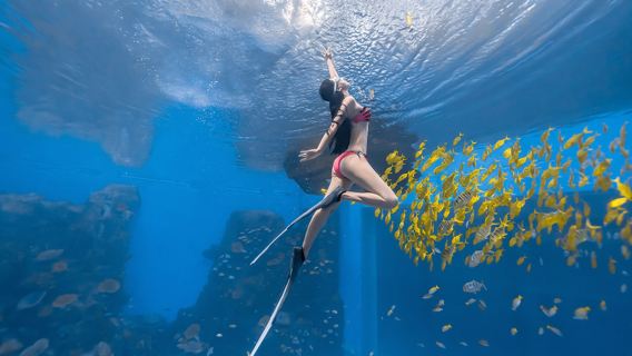 陵水旅拍【陵水海南富力海洋歡樂世界水下攝影浮潛/水肺潛水攝影/自由潛水攝影】