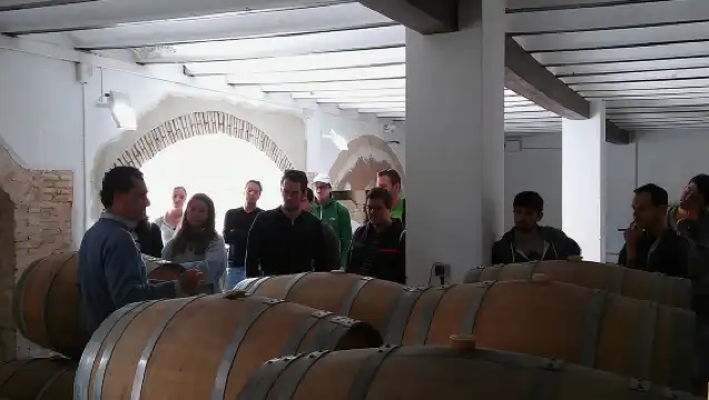 Private Wineries Tour from Valencia (morning tour)
