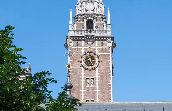 魯汶精華包車線：市政廳/教堂/圖書館/博物館/修女院