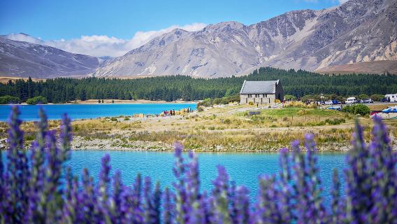 紐西蘭皇后鎮蹦極/跳傘+高原農場｜私人訂製行程｜可多日