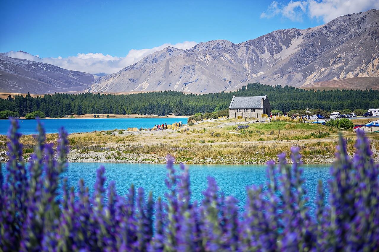 新西蘭皇后鎮纜車+鳥類生態公園 +蒸汽船｜私人訂製｜可多日