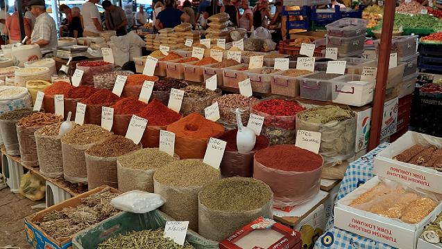 From Kos: Independent Day Trip to Bodrum