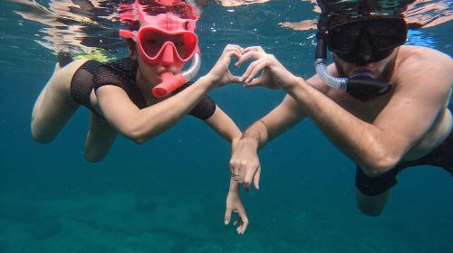Snorkeling with turtles in Fujairah with BBQ lunch 5