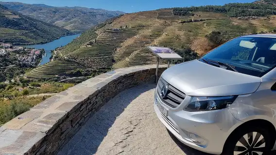 VALE DOURO: Luxury Private Wine Tour, Winery Tour and Cruise