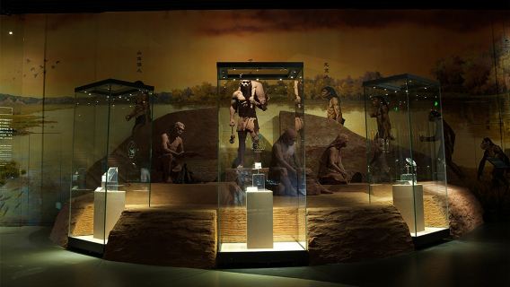 山西臨汾博物館半日遊·鳳凰說·含門票·含耳麥·深度導覽2小時