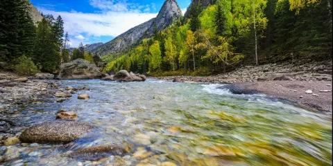 【在新疆當顯眼包】沉浸式玩(禾木-喀納斯-白哈巴)