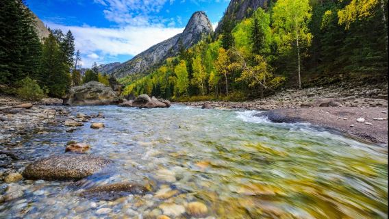 【在新疆當③日「顯眼包」】③日沉浸式遊玩禾木—喀納斯—白哈巴