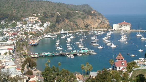 Tour della città di Catalina Island e del panoramico monte Ada