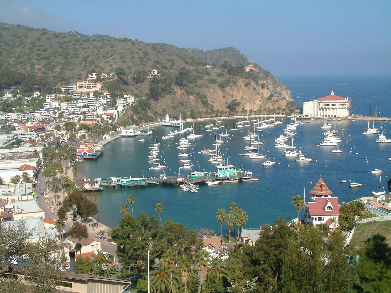 Catalina Island City & Scenic Mt. Ada Tour