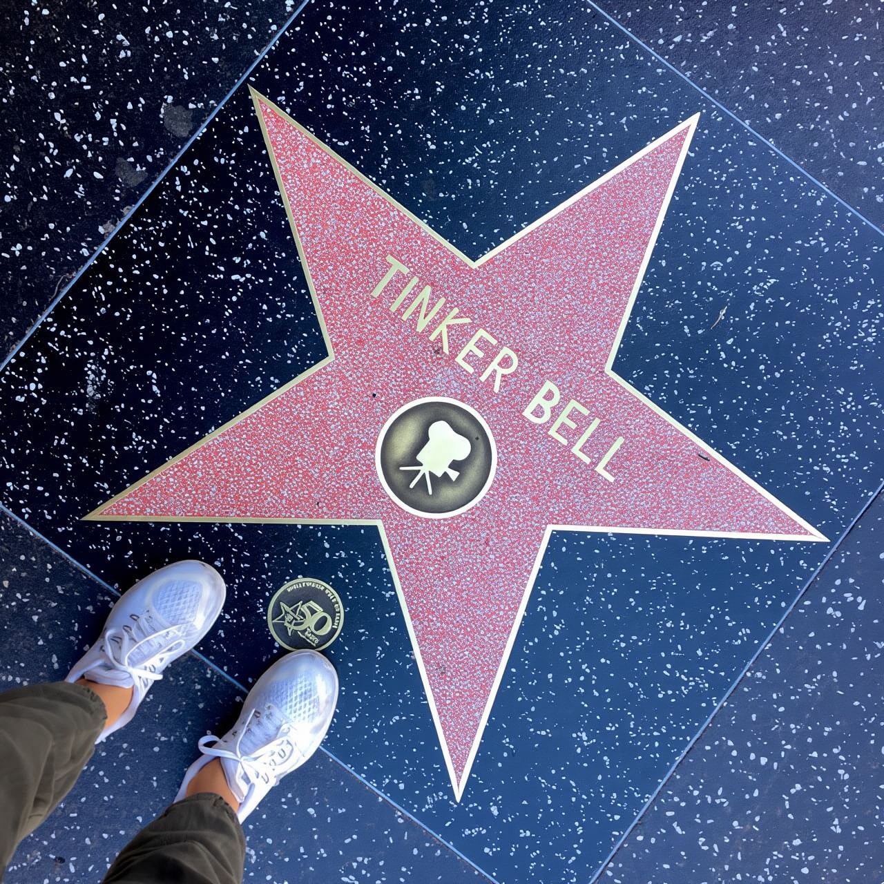 Full-Day City Tour of LA, Hollywood, Beverly Hills & Beaches