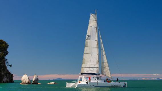 Abel Tasman National Park: Day Sailing Adventure with Lunch