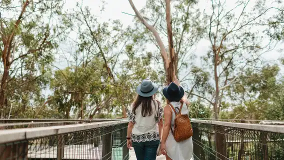 From Melbourne: Penguin Parade and Koalas Tour