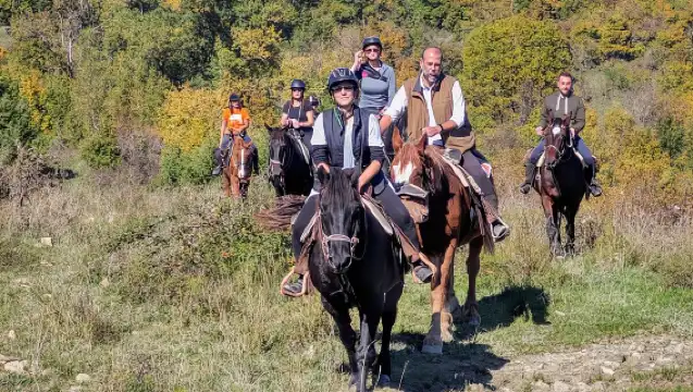 Escape from the city: Cowboy experience with meals & wines