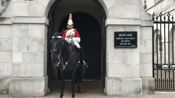 Londres: tour de un día con la Torre, la Abadía y crucero