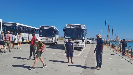 Esperienza in funivia a Robben Island e Table Mountain